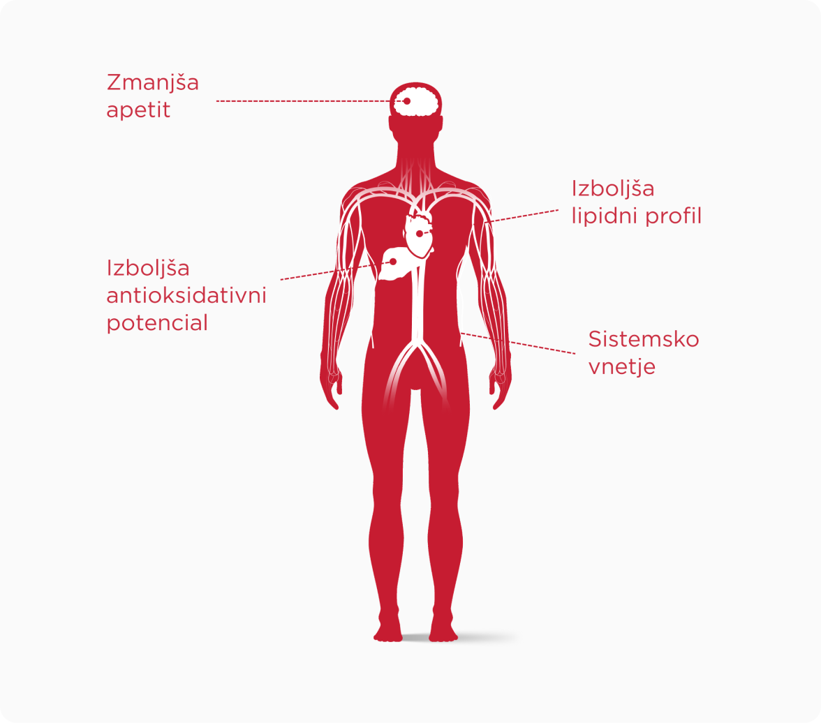 Učinki matičnega mlečka na telo: zmanjša apetit, izboljša lipidni profil in antioksidativni potencial, zmanjša sistemsko vnetje